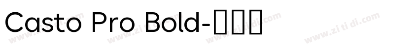 Casto Pro Bold字体转换